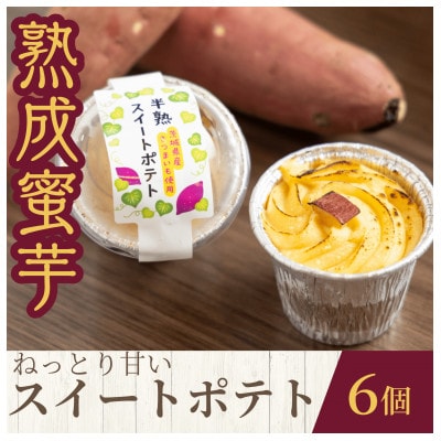 n ˂ƂÂ nXC[g|eg120g×6yzsnFEzy1618095z錧11000َqEXC[c̑ mَq