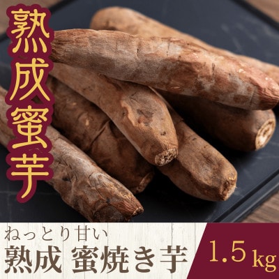 ねっとり甘い熟成蜜焼き芋 1.5kg【配送不可地域:離島・沖縄】【1618098】茨城県10000野菜・きのこじゃがいも・イモ類