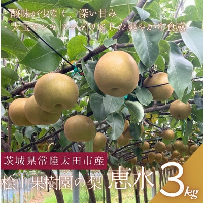 【数量限定!】桧山果樹園の茨城県ブランド梨 恵水3kg【配送不可地域:離島・沖縄】【1645134】茨城県13500果物・フルーツりんご・梨