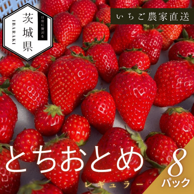 y2026N1菇\z ƂƂ M[ 250g×8pbNyzsnFEkCEzy1647794z錧22000ʕEt[c