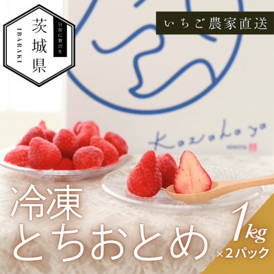  ƂƂ Ⓚ2kg(1kg×2pbN) ^Ⓚ ۑyzsnFEzy1647801z錧15000ʕEt[c