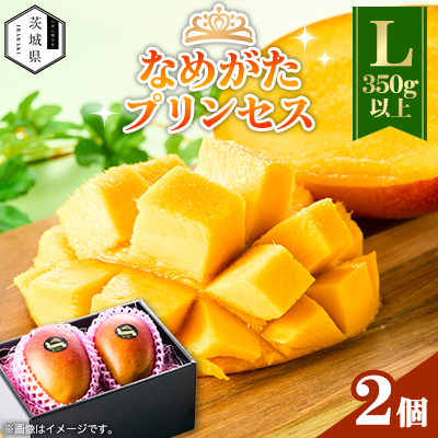 錧Y Ȃ߂vZX}S[Ly350gȏz2yzsnFEzy1647820z錧35000ʕEt[c}S[EpCibv