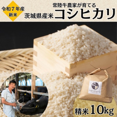 令和7年産 茨城県産 常陸牛農家が育てる コシヒカリ 精米 10kg【配送不可地域:離島・沖縄】【1660512】茨城県28000米・パン白米