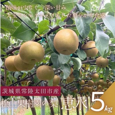【先行受付】2026年9月順次発送 桧山果樹園 茨城県 ブランド梨 恵水5kg【配送不可地域:離島・沖縄】【1668040】茨城県23500果物・フルーツりんご・梨