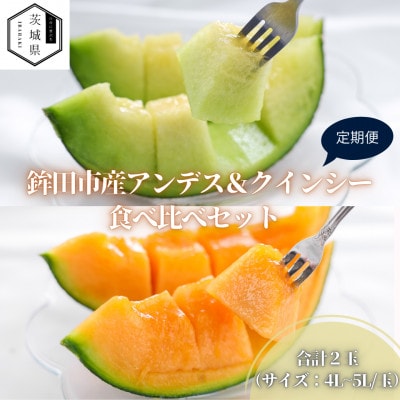 【発送月固定定期便】4・5月発送 山一ファーム 鉾田市 メロン食べ比べ(アンデスとクインシー)全2回【配送不可地域:離島・沖縄】【4071254】茨城県20000果物・フルーツメロン・スイカ