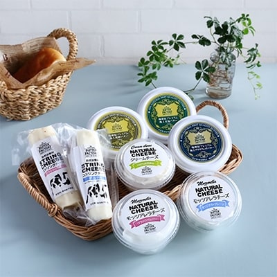 nv~A@ɏo^[ƃ`[Ý@[8@AZbg]yzsnFzy1036153zQnY33000Ei`[Y