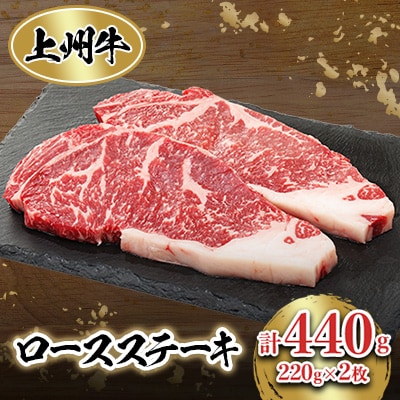 ⓀB@[XXe[L@440gyzsnFzy1044935zQnY13000