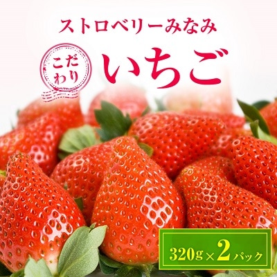 ストロベリーみなみ こだわり 『いちご』 320g×2パック【配送不可地域:離島】【1052500】群馬県榛東村10000果物・フルーツいちご