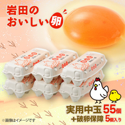 ĉ@p55+jۏ5 (10×6pbN)yzsnFzy1081154zQnY10000Eii{AG{j