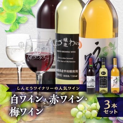 しんとうワイナリーの人気ワイン3本セット【1370294】群馬県榛東村21000酒・アルコールワイン