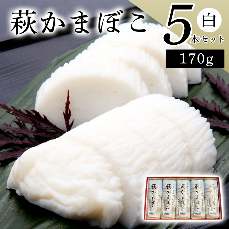 萩かまぼこ 170g 白5本【化粧箱入】(国産鮮魚エソ100%) |hg000076山口県萩市37800魚介・海産物その他 魚介・海産物