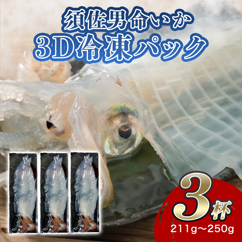 自宅で透明感を再現!須佐男命いかの姿造り(刺身)特殊冷却「3D冷凍」パック 3個 |hgH00043山口県萩市50500魚介・海産物イカ・タコ・ウニ