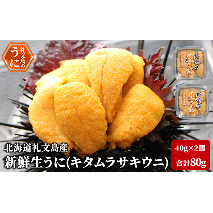 先行予約 北海道 礼文島産 新鮮生うに( キタムラサキウニ )40g×2個 ウニ 雲丹 魚貝類 80g 北海道礼文町19000魚介・海産物イカ・タコ・ウニ