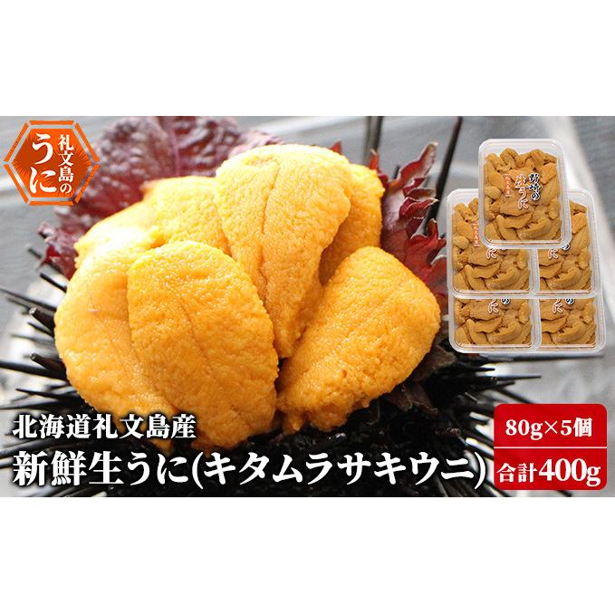 先行予約 北海道 礼文島産 新鮮生うに( キタムラサキウニ )80g×5個 ウニ 雲丹 魚貝類 北海道礼文町87000魚介・海産物イカ・タコ・ウニ