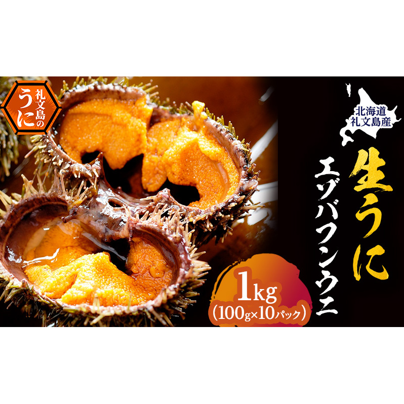 北海道 礼文島産 採れたて バフンウニ  塩水パック 100g×10  生うに 生ウニ  塩水うに 魚貝類 雲丹 1kg 北海道礼文町270000魚介・海産物イカ・タコ・ウニ