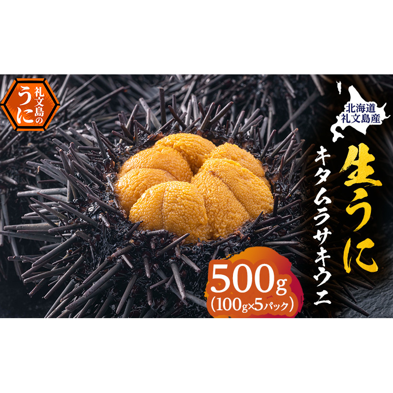 北海道 礼文島産 採れたて キタムラサキウニ 塩水パック 100g×5 生うに 生ウニ  塩水うに 魚貝類 雲丹 500g 北海道礼文町98000魚介・海産物イカ・タコ・ウニ