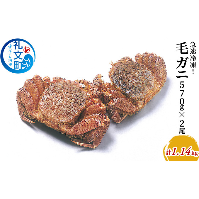 急速冷凍!毛ガニ約570g×2尾 毛カニ 蟹 冷凍毛ガニ カニ かに 北海道礼文町51000魚介・海産物カニ