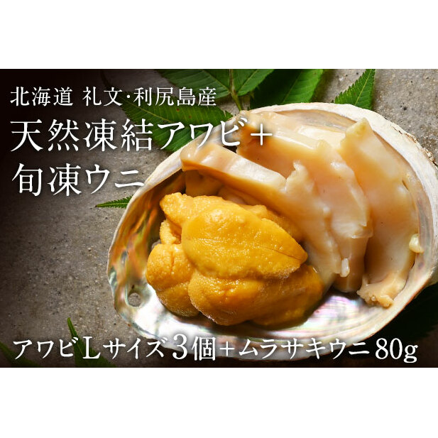 當Y@ArLTCY3 {TLEj80g L uԗⓀ {̖ lꂽĂ̖ ̍ L^TLEj 蕨 kC當28000ECYCJE^REEj