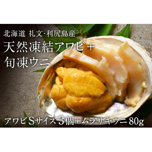 當Y@ArSTCY3 {TLEj80g L  鸗Kz ǎ uԗⓀ ̍ RR lꂽ Â 蕨 kC當23000ECYCJE^REEj