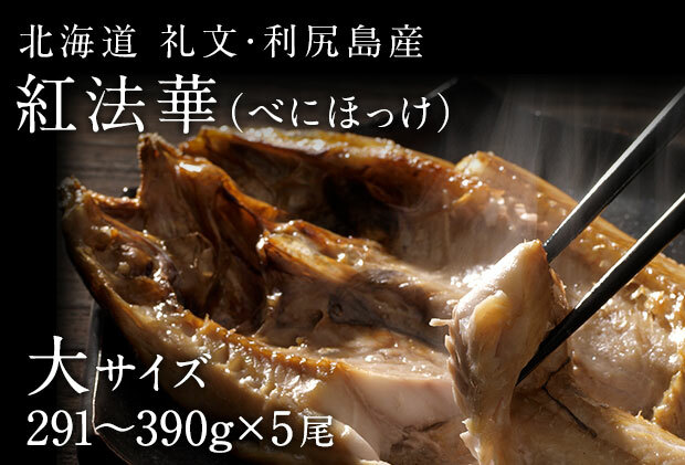當Y gقz TCYi291-390gj5 L Hi C̍K ^zbP | Ƃ ӂ H H ͂ [   ̂ kC當19000ECY