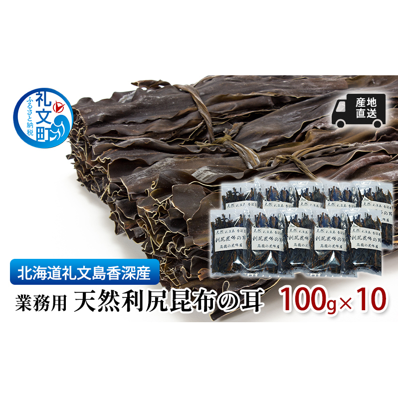 北海道 礼文島  香深産 業務用 産地直送天然利尻昆布の耳 100g×10 昆布 だし 北海道礼文町23000調味料・油だし