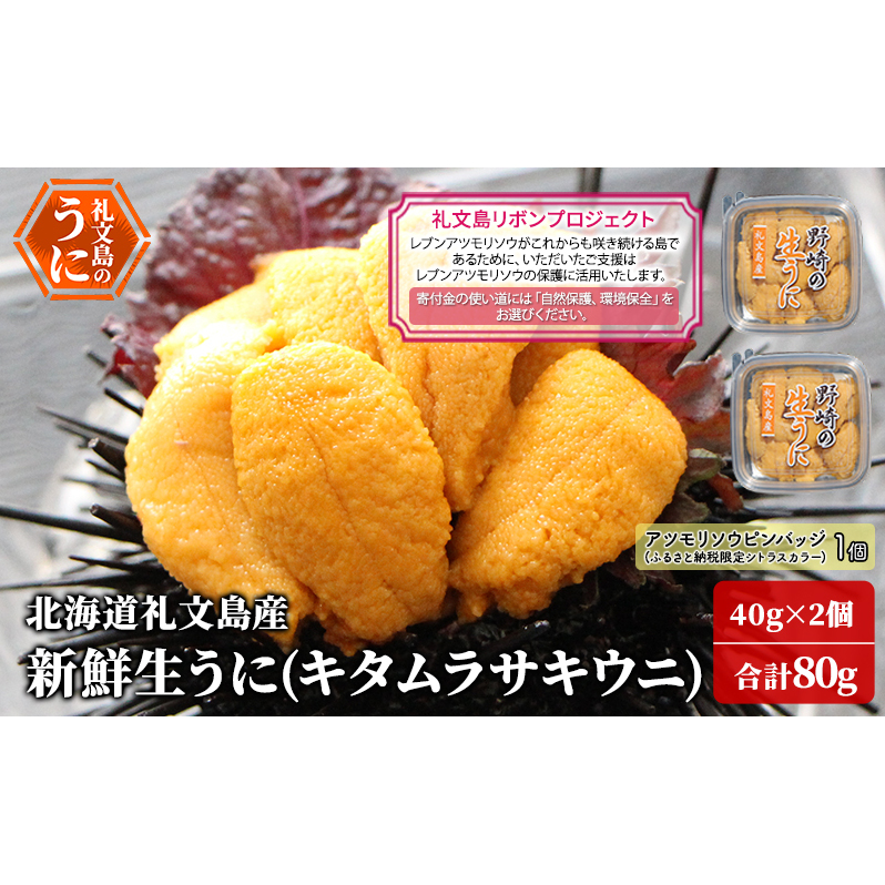 【礼文島リボンプロジェクト】北海道 礼文島産 新鮮生うに ( キタムラサキウニ ) 40g×2個 ウニ 雲丹 魚貝類 80g北海道礼文町19000魚介・海産物イカ・タコ・ウニ