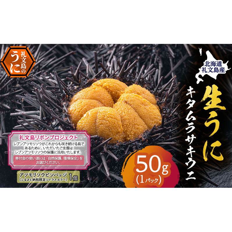 【礼文島リボンプロジェクト】北海道 礼文島産 採れたて キタムラサキウニ 塩水パック 50g×1 生うに 生ウニ 塩水うに 魚貝類 雲丹北海道礼文町18000魚介・海産物イカ・タコ・ウニ