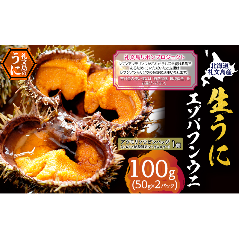 【礼文島リボンプロジェクト】北海道 礼文島産 採れたて バフンウニ 塩水パック 50g×2 生うに 生ウニ 塩水うに 魚貝類 雲丹北海道礼文町34000魚介・海産物イカ・タコ・ウニ
