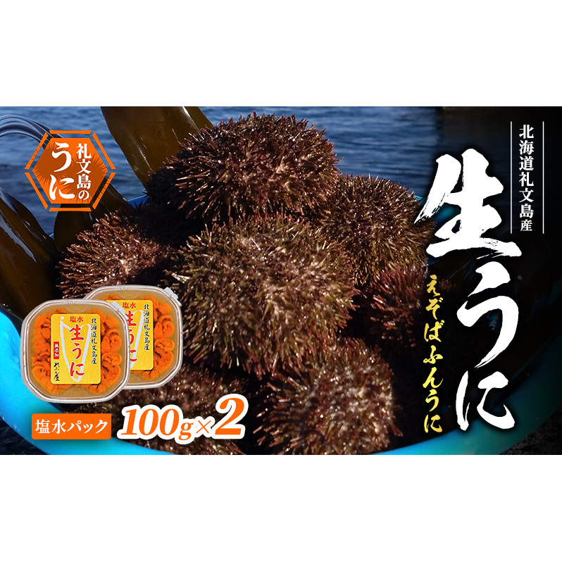 北海道 礼文島産 生うに (えぞばふんうに) 塩水パック 100g×2 生ウニ 塩水うに 魚貝類 雲丹北海道礼文町46000魚介・海産物イカ・タコ・ウニ