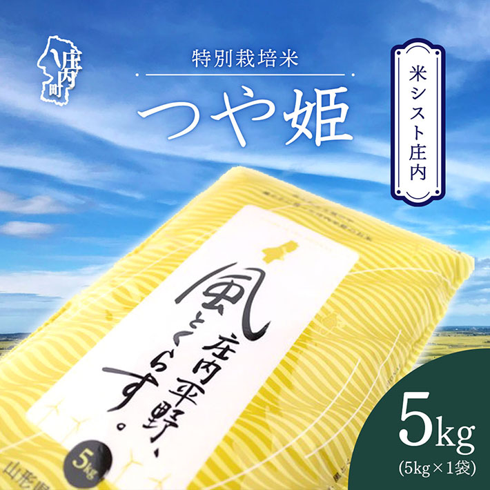 米シスト庄内 庄内平野、風と暮らす つや姫5kg 特別栽培米 令和7年産 2025年産 ブランド米 コシヒカリの原点、亀の尾発祥の地 庄内山形県庄内町20000米・パン白米