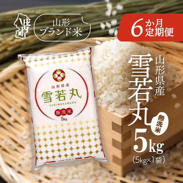<11月中旬発送>庄内米6か月定期便!雪若丸無洗米 5kg(入金期限:2025.10.25)山形県庄内町102000米・パン無洗米
