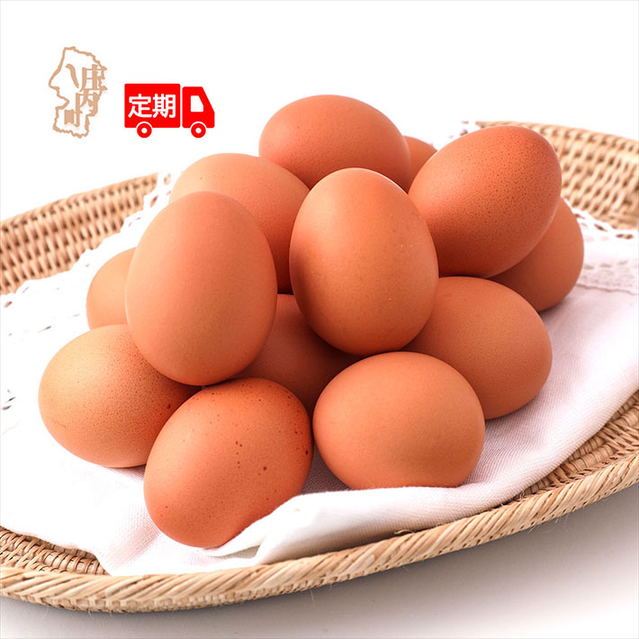 <12月中旬発送>スズキのたまご 6か月定期便! 地養卵50個(入金期限:2025.11.25)山形県庄内町60000卵・乳製品卵(鶏、烏骨鶏等)