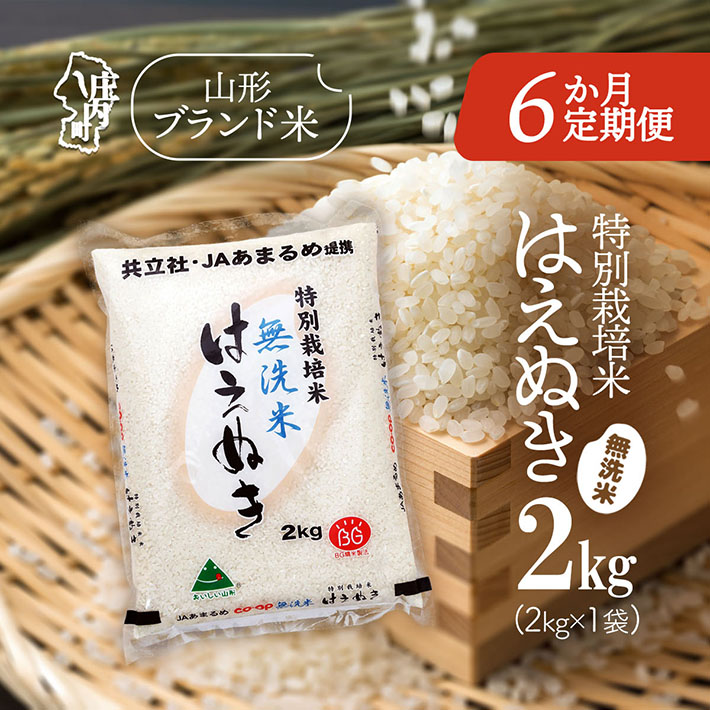 <12月中旬発送>庄内米6か月定期便!特別栽培米 はえぬき無洗米 2kg(入金期限:2025.11.25)山形県庄内町66000米・パン無洗米