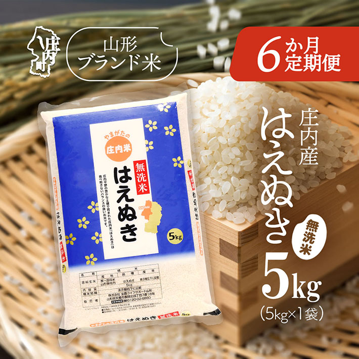 <12月中旬発送>庄内米6か月定期便!はえぬき無洗米 5kg(入金期限:2025.11.25)山形県庄内町108000米・パン無洗米