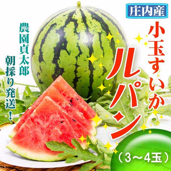y7{菇z_呾Y ʃXCJ p 3`4ʁiF2026.7.10jR`14000ʕEt[cEXCJ