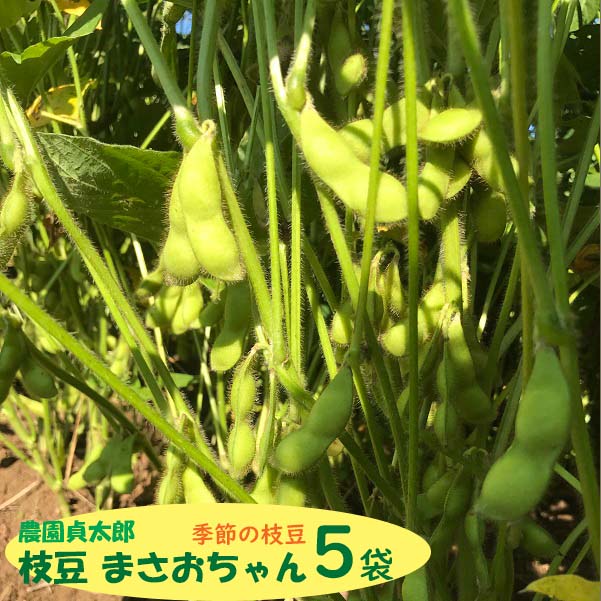 【7月下旬より順次発送】農園貞太郎 枝豆まさおちゃん 5袋(入金期限:2026.7.10)山形県庄内町7000野菜・きのこ豆類