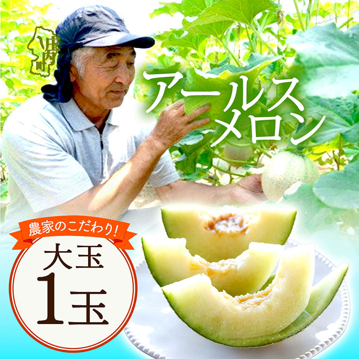 【8月より順次発送】アールスメロン 大玉1玉(入金期限:2026.7.20)山形県庄内町8000果物・フルーツメロン・スイカ