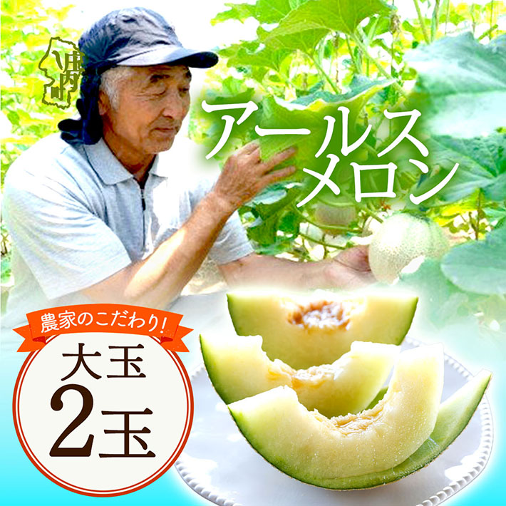 【8月より順次発送】アールスメロン 大玉2玉(入金期限:2026.7.20)山形県庄内町16000果物・フルーツメロン・スイカ