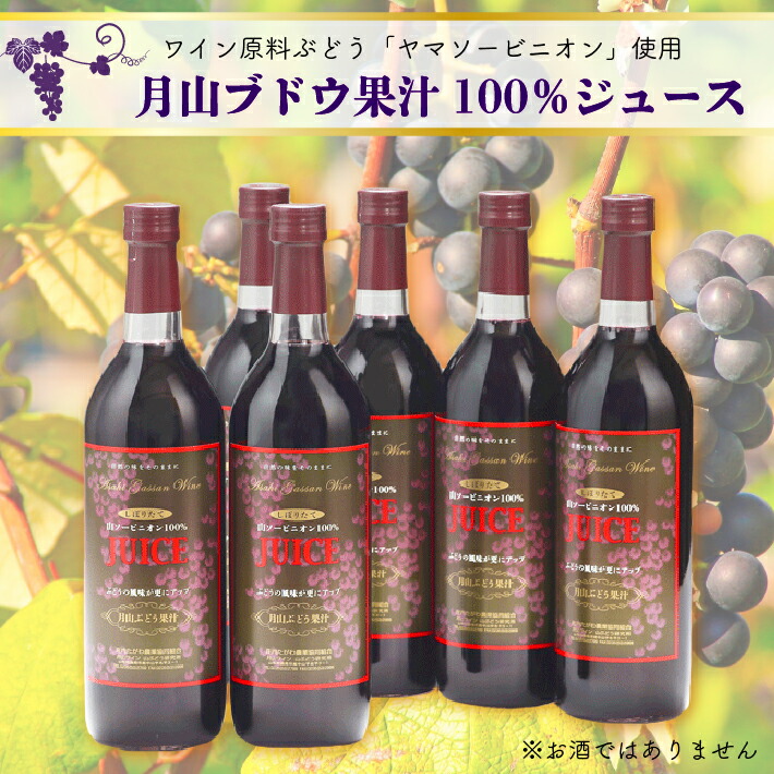 食の都庄内 月山ぶどう果汁100%ジュース 6本セット 濃厚 ブドウジュース ぶどう 保存料不使用山形県庄内町32000お茶・飲料