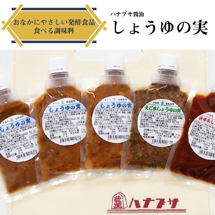 ハナブサ醤油 万能調味料しょうゆの実セット山形県庄内町9000調味料・油