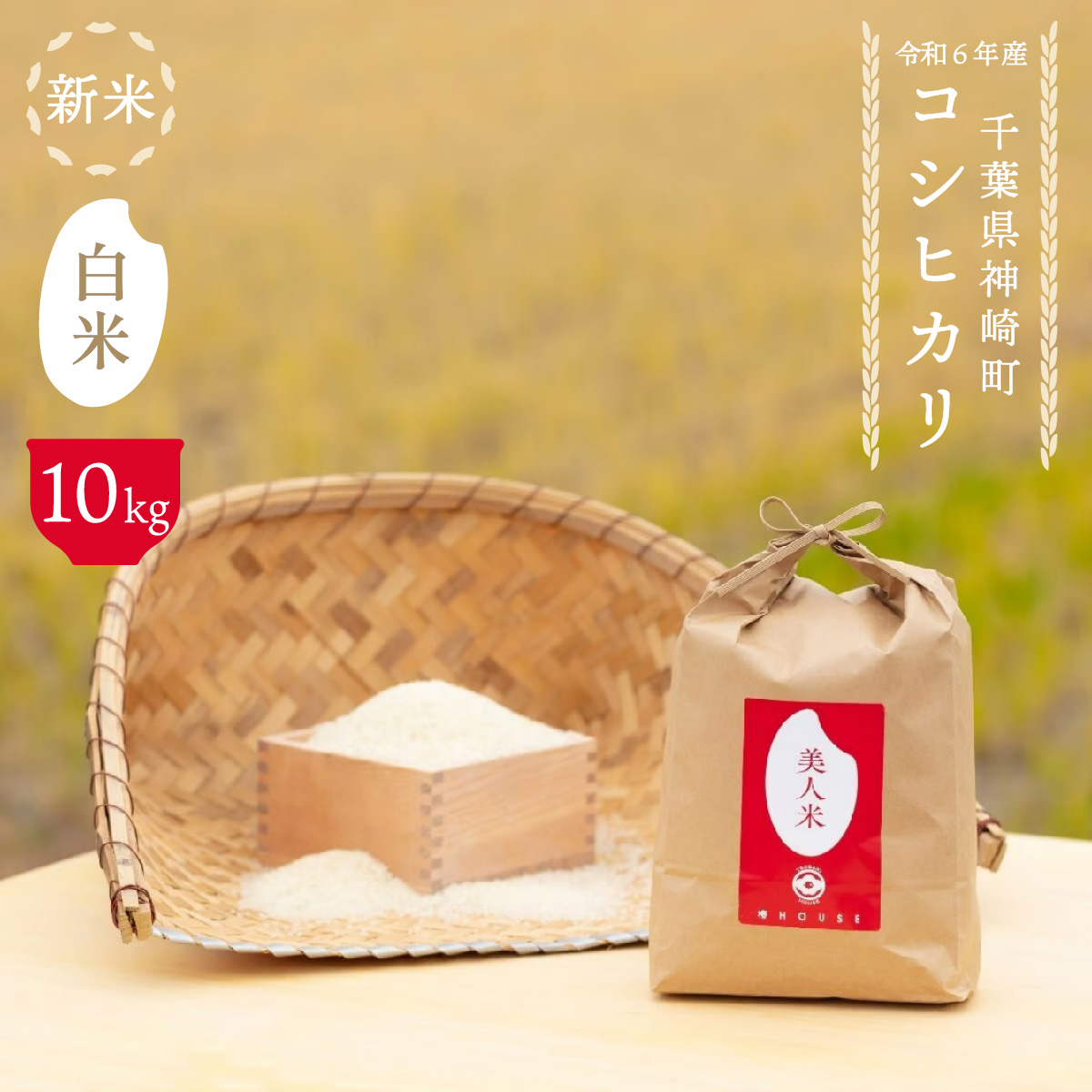 ylāz10kg t_蒬Y[002-a001]yt_蒬ӂ邳Ɣ[Łzy  ĕU RVqJzt_蒬26000āEp