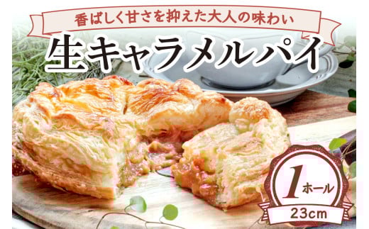 ΂Â}l̖킢 LpC(z[23cm) [2234]ޗǌŎs13000َqEXC[cĂَq