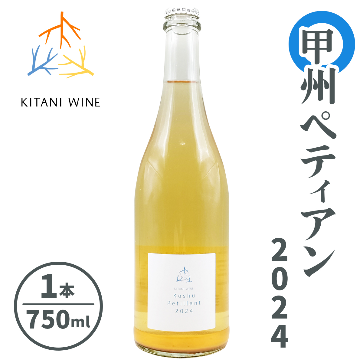 bByeBA 2024 (750ml×1{)bC ʎ ޗ  [3000]ޗǌŎs13000EAR[C