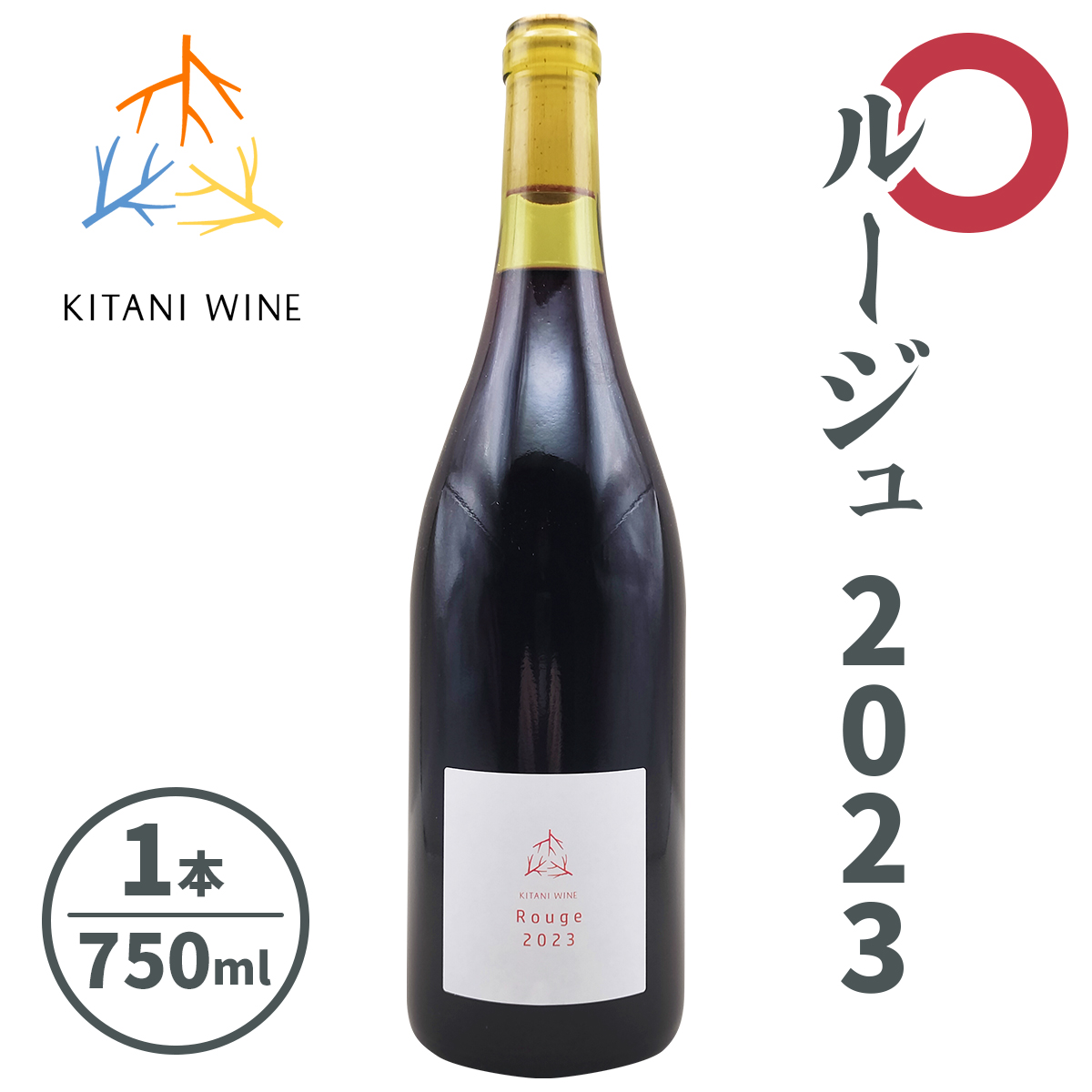 [W 2023 (750ml×1{)bC ʎ ޗ  [3007]ޗǌŎs19000EAR[C