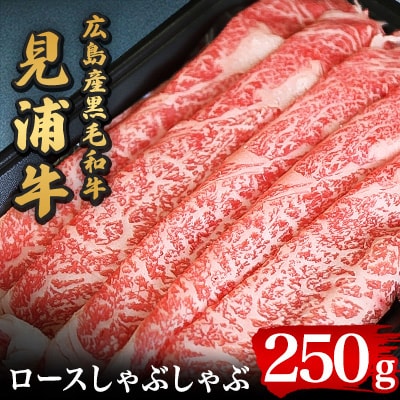 LYјauYṽ[XԂ(250g)yzsnFzy1007250zL|c10000
