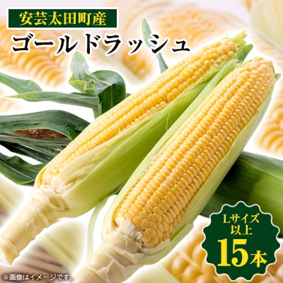 【期間限定】安芸太田町産とうもろこし(ゴールドラッシュ) Lサイズ以上15本!【配送不可地域:離島】【1076730】広島県安芸太田町18000野菜・きのことうもろこし
