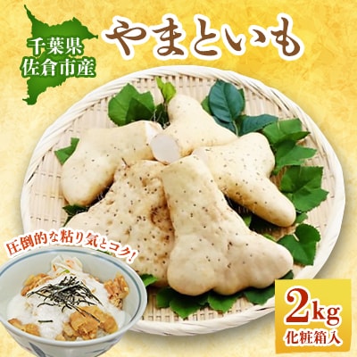 佐倉市産やまといも 2kg×1箱【配送不可地域:離島】【1293687】千葉県佐倉市9000野菜・きのこじゃがいも・イモ類