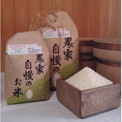 【千葉県佐倉市産コシヒカリ】新左衛門のお米(精米)5kg×1袋・3kg×1袋【1298159】千葉県佐倉市26000米・パン白米