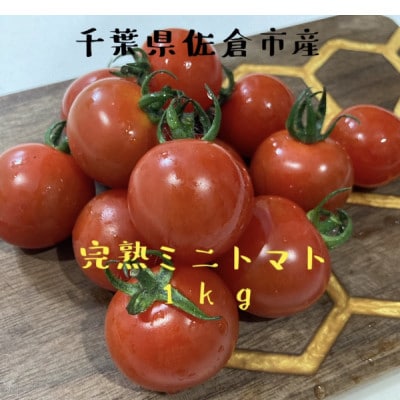 完熟ミニトマト 1kg【配送不可地域:離島】【1415578】千葉県佐倉市8000野菜・きのこトマト