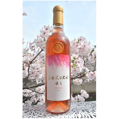 【数量限定】佐倉産初のワイン!ピノ・グリのオレンジワイン 720ml×1本【配送不可地域:離島】【1637211】千葉県佐倉市23000酒・アルコールワイン